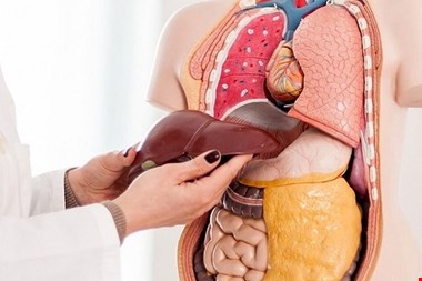 کثیفترین عضو بدن را بشناسید