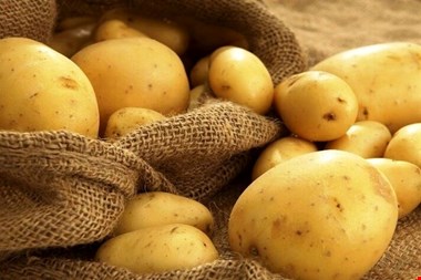 اگر هر روز سیبزمینی بخورید چه اتفاقی برایتان میافتد؟